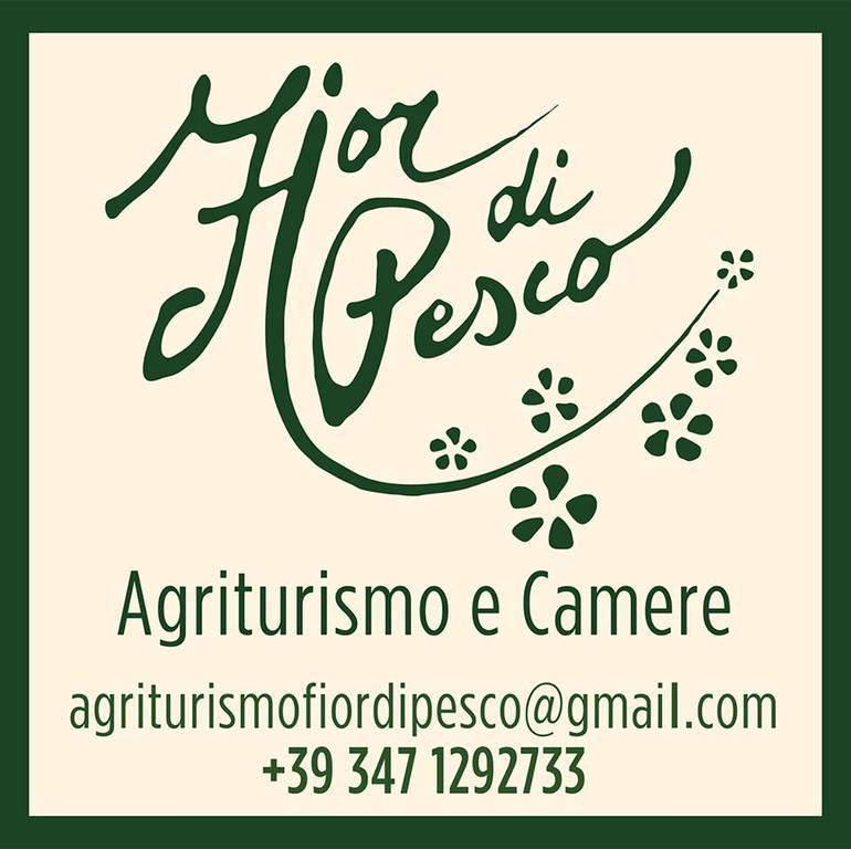 Agriturismo Fior Di Pesco Hotel Sommacampagna Exterior photo